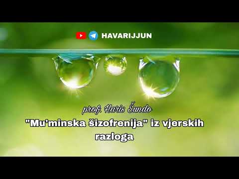 "MU'MINSKA ŠIZOFRENIJA" IZ VJERSKIH RAZLOGA - prof. Haris Šundo