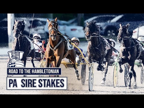 2024 Road To The Hambletonian | PA Sire Stakes | T C I & Security Protected