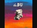 The Bats   It's a lie