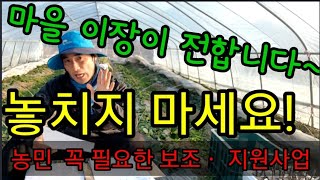 보조사업ㆍ지원사업! 아~!아~!마을이장이 전합니다~~!!!!
