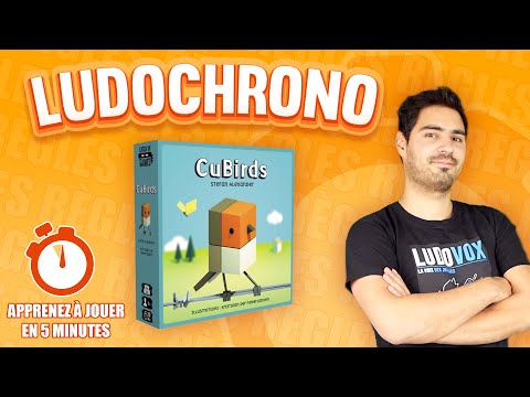 Vidéo CuBirds