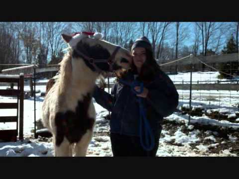 RGR Iron Man and His pal for life