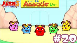 #20 初老男性、ヒーローショーを観に行く『とっとこハム太郎３ ラブラブ大冒険でちゅ』攻略実況プレイ