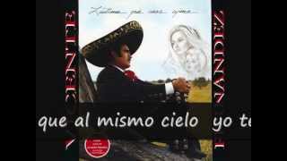 Vicente Fernandez Lastima Que Seas Ajena (letra)