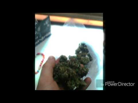 Mlody - Jestem Ziom#