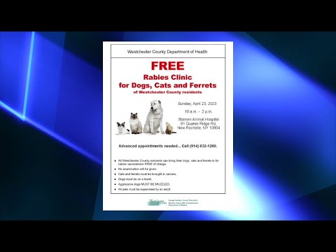 NY Westchester County Hosting Rabies Vaccination Clinic