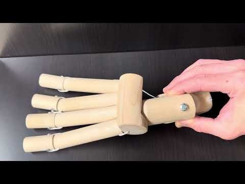 Knick-Senkfuss / Plattfuss Biomechanik kurz erklärt