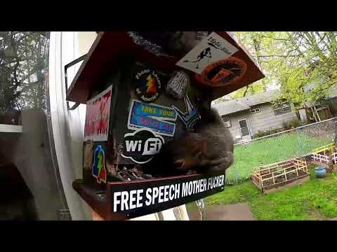 The Snow Plow Show Episode 762 - Knock It Off With Those Fireworks