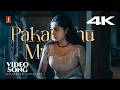 Pakalonnu Maanja 4K Video Song Neelathamara Archana Kavi Vidyasagar Balram Iyer Vijay Prakash