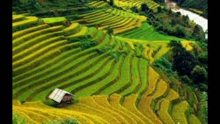 Download lagu Kecapi suling sunda.mp3 bikin ngantuk. mp3