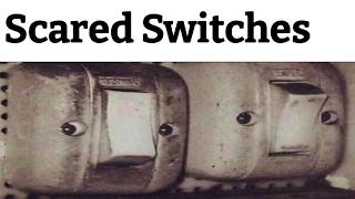 Seeing Faces In Things