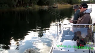 preview picture of video 'Ahvenen jigikalastusta merellä     Jigging perch in Finland'