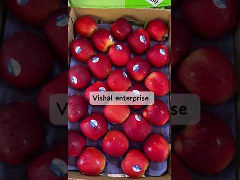 A grade new zealand queens apples, packaging size: 20 kg, pa...