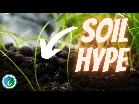 Soil-Hype: perfekter Bodengrund oder überbewertet?