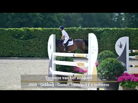 Treasure van het Audgoed