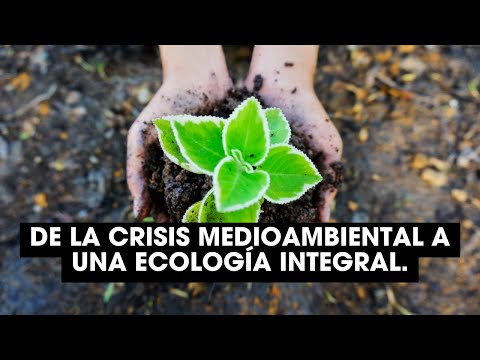 Fase Virtual del Diplomado - De la crisis medioambiental a una ecología integral.