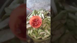 Download lagu SAYUR ENCUNG mp3