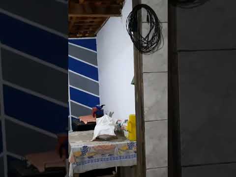 Eu sofri um assidente nas ruas de buriti  bravo o que eu faço?