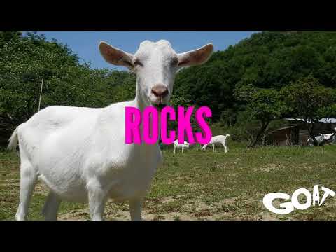 Data Luv feat. Ufo361 – ROCKS* 🐐🐐🐐