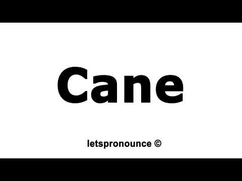 How to Pronounce Cane