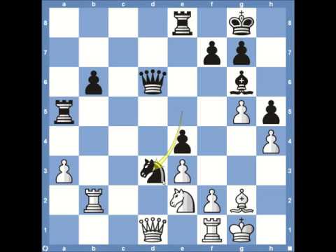 Tata Steel 2016 Loek van Wely vs Anish Giri