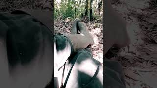 Download lagu Story wa di kebun karet @PetanimudaGanteng mp3