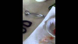 Cooking with fishboy ep.1