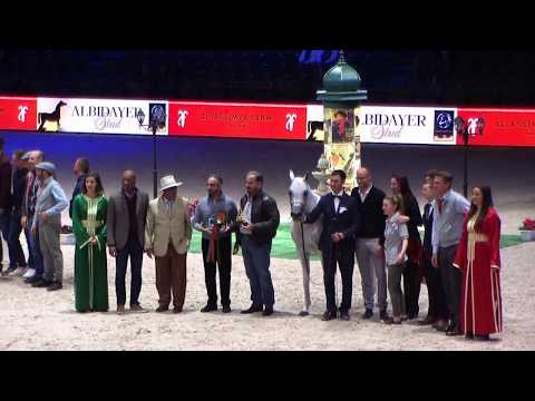 Memories of Paris 2017 - Part 2 - Tehama Ballalina