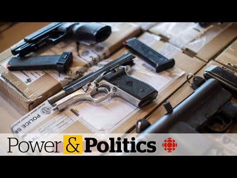 Canada's handgun freeze 'significant step' toward responsible gun control: public safety minister