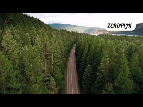 Made In M × Smuv - Old Roots New Trees