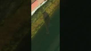 平瀬彪 撮影　見えバス