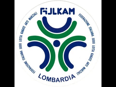 Fijlkam Lombardia  corso aggiornamento insegnati tecnici pt 2