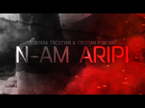 Soryna Trestyan x Cristian Porcari - N-am Aripi ( Official Audio )