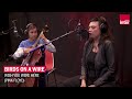 Birds on a wire reprend "Wish you were here" des Pink Floyd