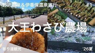 【野沢温泉＆伊香保温泉旅行#1】初日途中で寄った大王わさび農場