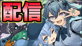 【パズドラ配信】学園コロシアム周回しながら雑談！【スー☆パズドラ】