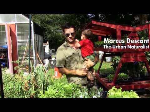 Fall Crops for an Edible Garden & Food Forest