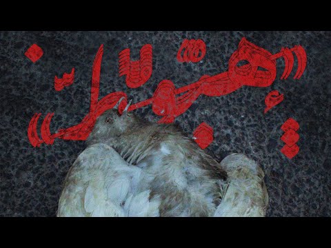 Pendar X Fazaei - Zakhm (Official Visualizer)