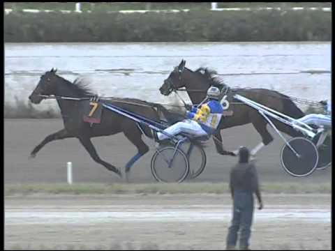 Trotto 15/02/2015 - 2° corsa