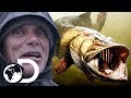 Searching For Legendary Giant Pike In Ireland | Jeremy Wade's Dark Waters