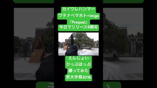 #ワタナベマホト #えんじょいひっぷほっぷ #踊ってみた #京大 #マホト #dance #カイワレハンマー #imiga #京都大学 #ダンス #ダンス動画 #おどってみた #kyoto