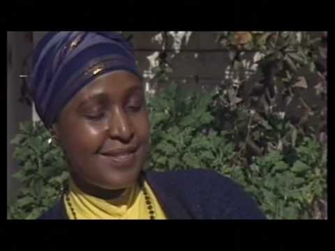 Viva Madiba: A Hero for All Season