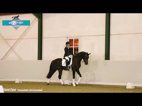 Hengstenstation van Uytert - Furst Dior