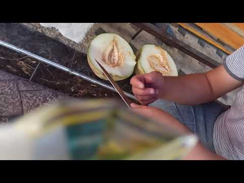 Uzbekistan Fruits (Particularly Melons) are very delicious - O'zbekiston mevalari (qovun)