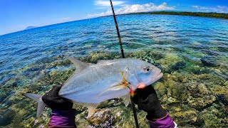 Download lagu SPOT MEGALODON IS BACK ‼️ Air jernih seperti akuarium, mancing casting pinggir laut mp3 Download lagu SPOT MEGALODON IS BACK ‼️ Air jernih seperti akuarium, mancing casting pinggir laut mp3