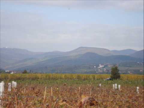 STANKO ŠARIĆ ( NHT )  - umireš li slavonijo moja