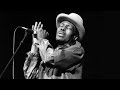 Little Red Rooster by Junior Wells