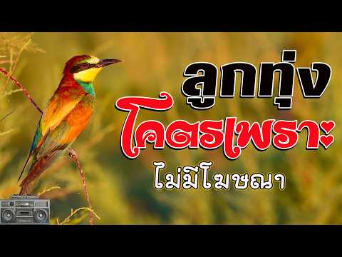 ลูกทุ่งรวมเพลงเพราะมาก : รวมเพลง ลูกทุ่งฮิตที่สุด ฟังต่อเนื่อง #เพลงลูกทุ่งมาแรง ไม่มีโฆษณา