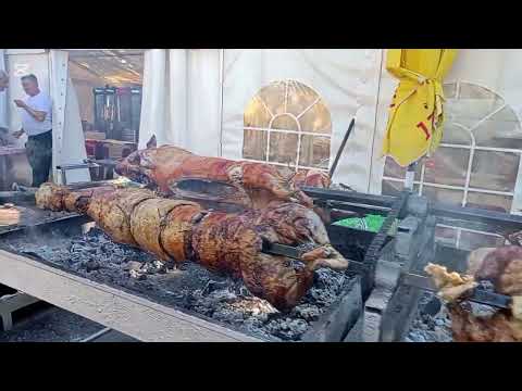 Grožđebal 2025 ...