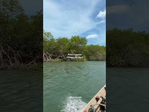 Passeio de canoa pelo mangue de Bitupitá - Barroquinha/CE
